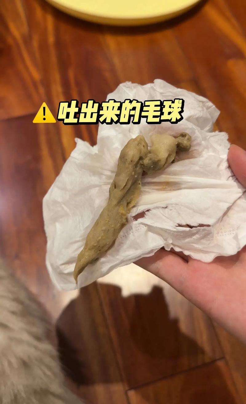 猫咪多久吐一次毛球,猫咪几天吐一次毛球?-第3张图片-后鲨宠物 猫咪多久吐一次毛球,猫咪几天吐一次毛球?-第3张图片-后鲨宠物