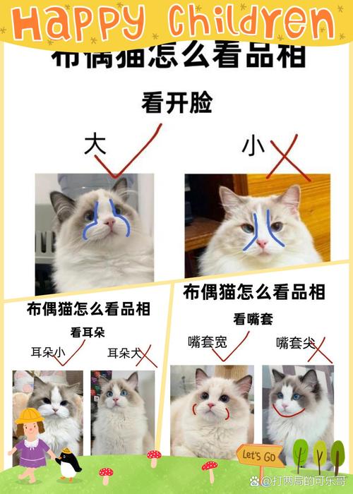 猫咪开脸是什么意思_猫开脸大好还是小好-第5张图片-后鲨宠物 猫咪开脸是什么意思_猫开脸大好还是小好-第5张图片-后鲨宠物