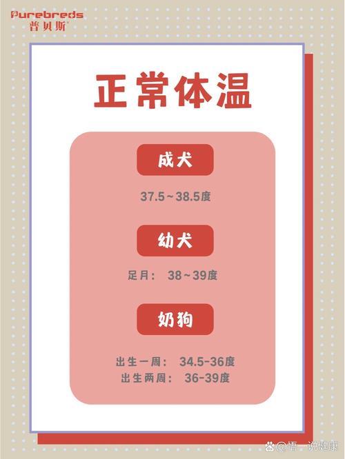 狗狗耳朵热正常吗,狗狗耳朵热是怎么回事?-第1张图片-后鲨宠物 狗狗耳朵热正常吗,狗狗耳朵热是怎么回事?-第1张图片-后鲨宠物