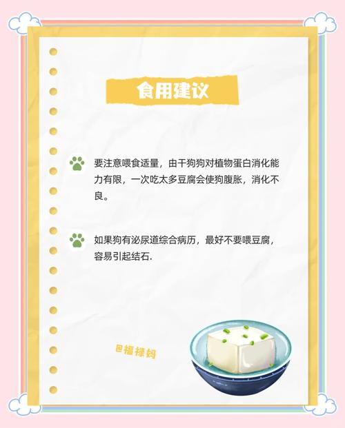狗狗吃豆腐有什么好处_狗吃豆腐可以补钙吗-第5张图片-后鲨宠物 狗狗吃豆腐有什么好处_狗吃豆腐可以补钙吗-第5张图片-后鲨宠物