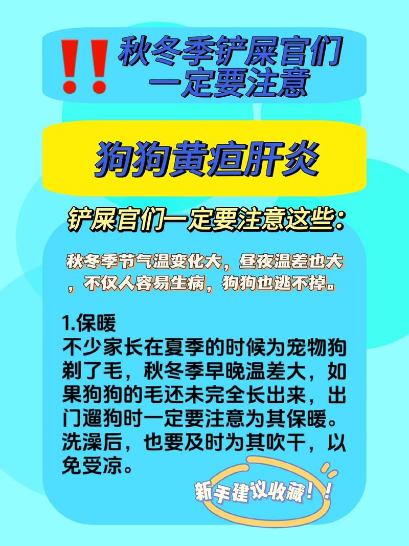 狗狗黄疸怎么治疗,狗狗黄疸怎么治疗比较好-第2张图片-后鲨宠物 狗狗黄疸怎么治疗,狗狗黄疸怎么治疗比较好-第2张图片-后鲨宠物
