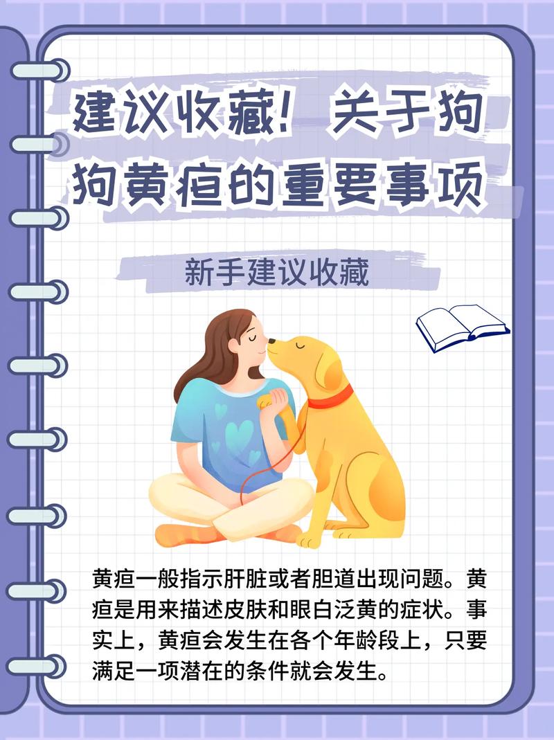 狗狗黄疸怎么治疗,狗狗黄疸怎么治疗比较好-第3张图片-后鲨宠物 狗狗黄疸怎么治疗,狗狗黄疸怎么治疗比较好-第3张图片-后鲨宠物