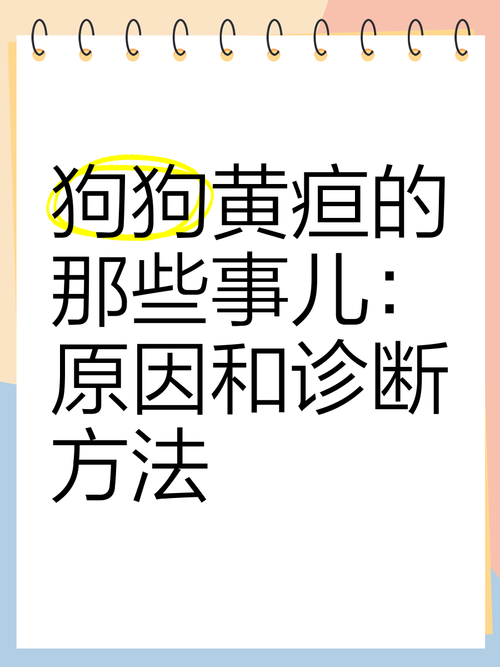狗狗黄疸怎么治疗,狗狗黄疸怎么治疗比较好-第4张图片-后鲨宠物 狗狗黄疸怎么治疗,狗狗黄疸怎么治疗比较好-第4张图片-后鲨宠物