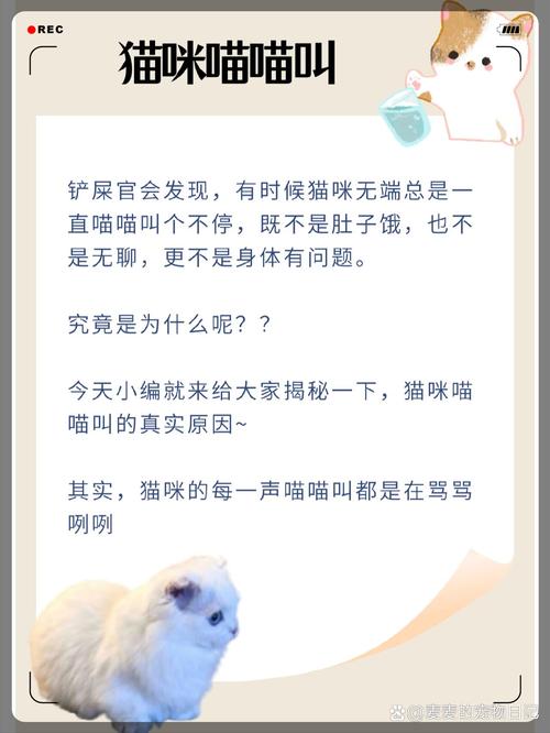 猫咪为什么总叫_猫猫为什么一直叫唤-第5张图片-后鲨宠物 猫咪为什么总叫_猫猫为什么一直叫唤-第5张图片-后鲨宠物
