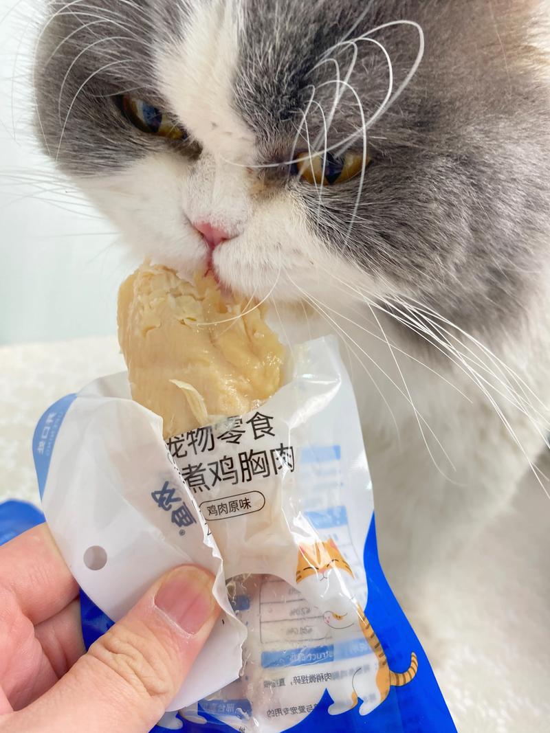 猫咪吃什么肉好_猫咪吃什么肉好一点-第2张图片-后鲨宠物 猫咪吃什么肉好_猫咪吃什么肉好一点-第2张图片-后鲨宠物