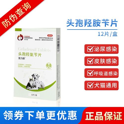 狗狗流脓鼻涕吃什么药,狗狗流脓鼻涕吃什么药效果比较好-第3张图片-后鲨宠物 狗狗流脓鼻涕吃什么药,狗狗流脓鼻涕吃什么药效果比较好-第3张图片-后鲨宠物