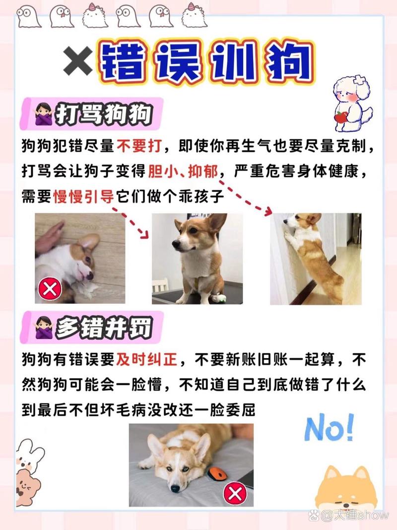 狗狗不乖怎么办,狗狗特别不乖?-第3张图片-后鲨宠物 狗狗不乖怎么办,狗狗特别不乖?-第3张图片-后鲨宠物