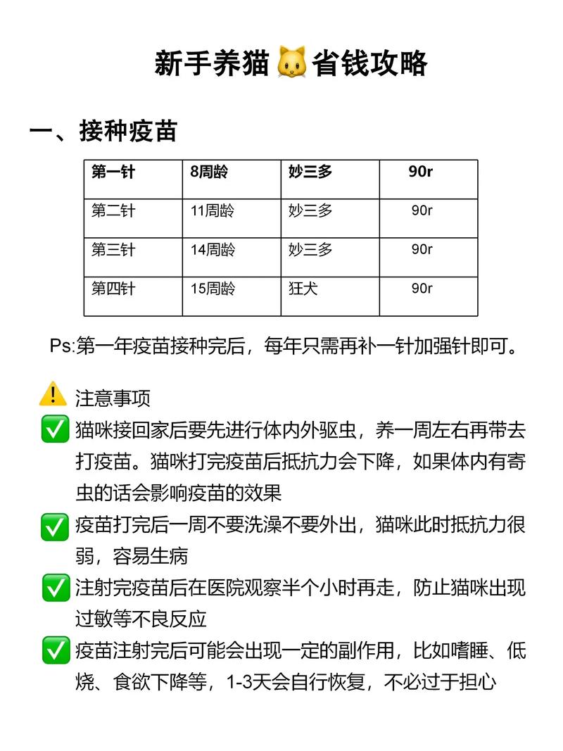 如何给猫咪打疫苗,如何给猫咪打疫苗针-第3张图片-后鲨宠物 如何给猫咪打疫苗,如何给猫咪打疫苗针-第3张图片-后鲨宠物