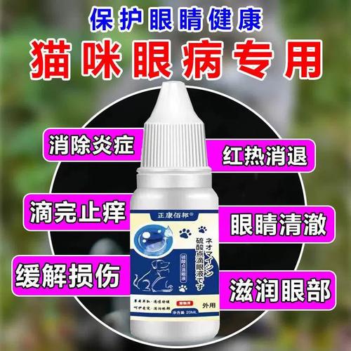 小猫咪眼睛流脓怎么办，小猫眼睛流脓流血水水怎么办？-第2张图片-后鲨宠物