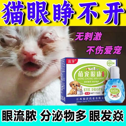 小猫咪眼睛流脓怎么办，小猫眼睛流脓流血水水怎么办？-第3张图片-后鲨宠物