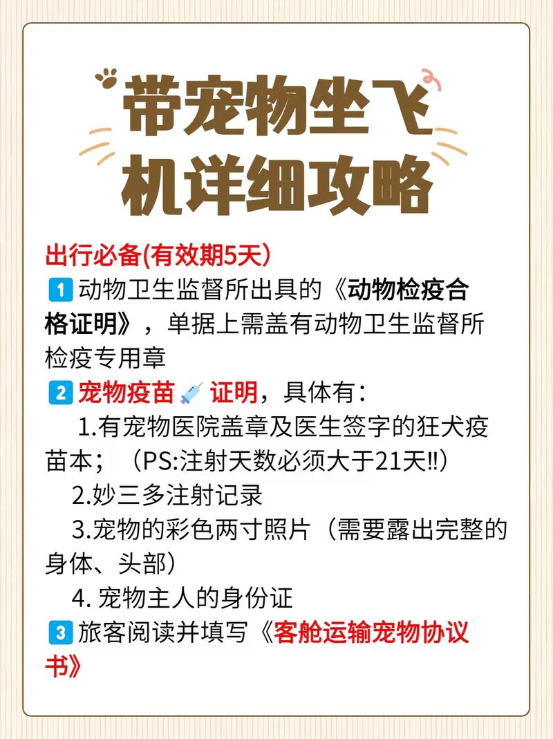 飞机上可以带狗狗吗,能带狗狗上飞机吗-第4张图片-后鲨宠物 飞机上可以带狗狗吗,能带狗狗上飞机吗-第4张图片-后鲨宠物