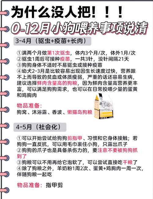 断奶的小狗狗怎么喂养_断奶的小狗应该吃什么-第2张图片-后鲨宠物 断奶的小狗狗怎么喂养_断奶的小狗应该吃什么-第2张图片-后鲨宠物