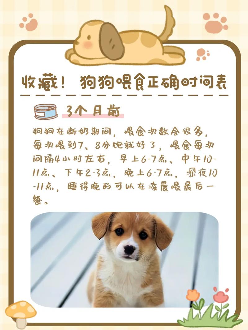 断奶的小狗狗怎么喂养_断奶的小狗应该吃什么-第5张图片-后鲨宠物 断奶的小狗狗怎么喂养_断奶的小狗应该吃什么-第5张图片-后鲨宠物