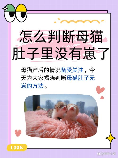 猫咪有虫子是什么症状,猫咪有虫对人有影响吗?-第4张图片-后鲨宠物 猫咪有虫子是什么症状,猫咪有虫对人有影响吗?-第4张图片-后鲨宠物