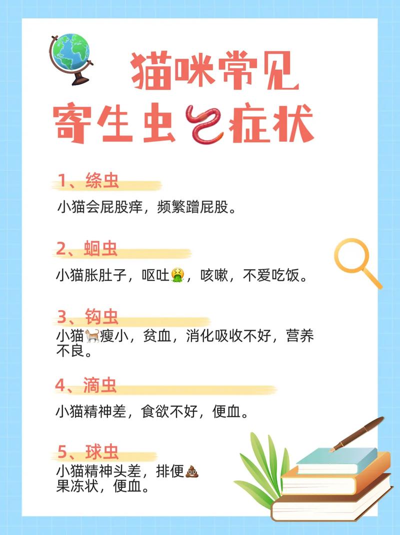 猫咪有虫子是什么症状,猫咪有虫对人有影响吗?-第5张图片-后鲨宠物 猫咪有虫子是什么症状,猫咪有虫对人有影响吗?-第5张图片-后鲨宠物