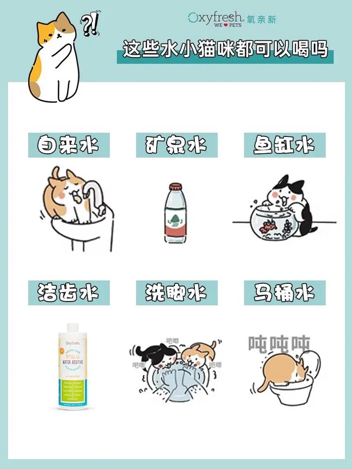 猫咪可以喝生水吗,猫咪能喝生牛奶吗?-第2张图片-后鲨宠物 猫咪可以喝生水吗,猫咪能喝生牛奶吗?-第2张图片-后鲨宠物