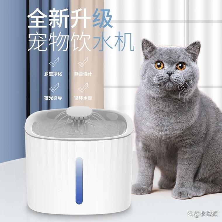 猫咪可以喝生水吗,猫咪能喝生牛奶吗?-第3张图片-后鲨宠物 猫咪可以喝生水吗,猫咪能喝生牛奶吗?-第3张图片-后鲨宠物