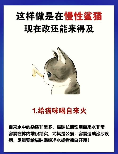 猫咪可以喝生水吗,猫咪能喝生牛奶吗?-第5张图片-后鲨宠物 猫咪可以喝生水吗,猫咪能喝生牛奶吗?-第5张图片-后鲨宠物