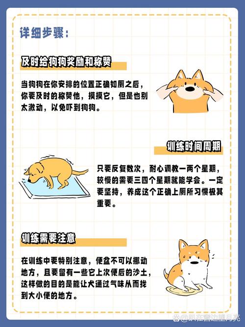怎么训练狗狗大小便_如何训练狗狗在固定地点大小便-第4张图片-后鲨宠物 怎么训练狗狗大小便_如何训练狗狗在固定地点大小便-第4张图片-后鲨宠物