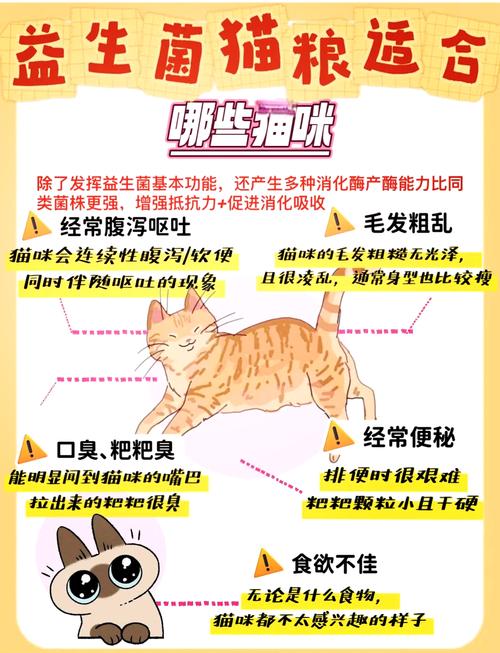  猫咪益生菌怎么喂，小猫可以吃人吃的益生菌吗-第3张图片-后鲨宠物