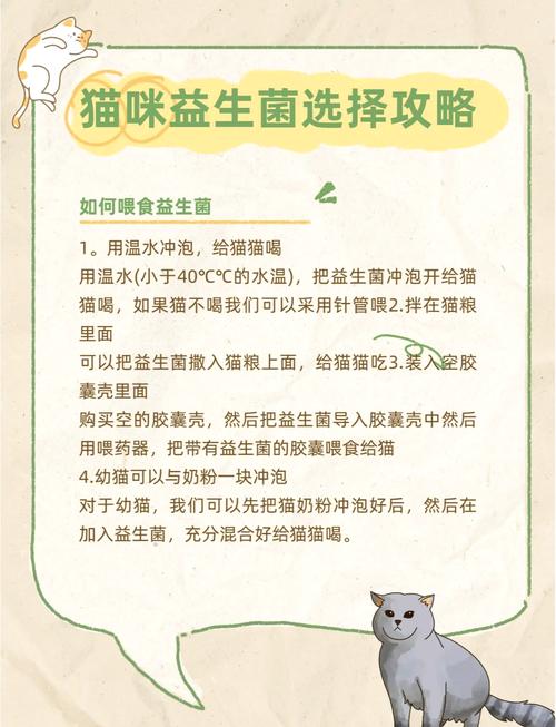  猫咪益生菌怎么喂，小猫可以吃人吃的益生菌吗-第5张图片-后鲨宠物