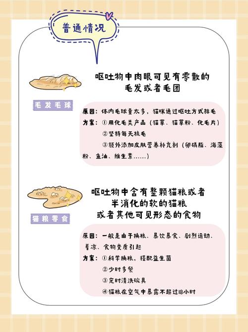 猫咪呕吐怎么办,猫咪呕吐怎么办吃什么药-第6张图片-后鲨宠物 猫咪呕吐怎么办,猫咪呕吐怎么办吃什么药-第6张图片-后鲨宠物