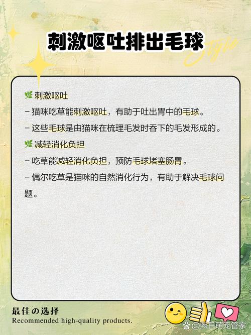 猫咪吃草是怎么回事,猫咪吃草是什么原因??-第3张图片-后鲨宠物 猫咪吃草是怎么回事,猫咪吃草是什么原因??-第3张图片-后鲨宠物