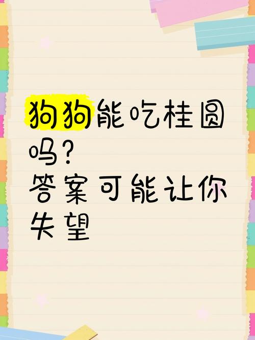 狗狗能吃桂圆吗_狗狗能吃桂圆吗有营养吗-第5张图片-后鲨宠物 狗狗能吃桂圆吗_狗狗能吃桂圆吗有营养吗-第5张图片-后鲨宠物