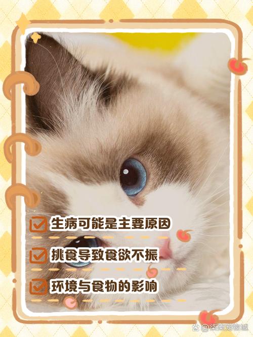 猫咪不吃饭只喝水_猫咪不吃饭只喝水没精神是为什么-第3张图片-后鲨宠物 猫咪不吃饭只喝水_猫咪不吃饭只喝水没精神是为什么-第3张图片-后鲨宠物