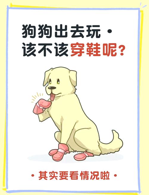 狗狗穿鞋子好不好_狗狗穿鞋子好不好怎么判断-第4张图片-后鲨宠物 狗狗穿鞋子好不好_狗狗穿鞋子好不好怎么判断-第4张图片-后鲨宠物