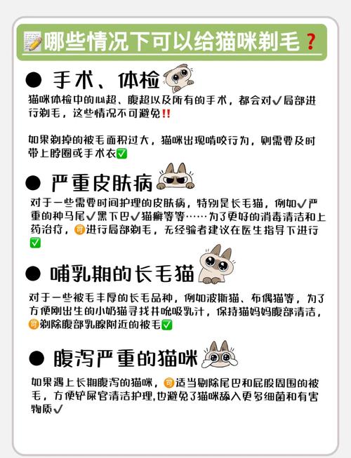 猫咪剃毛后注意事项,猫咪剃完毛?-第2张图片-后鲨宠物 猫咪剃毛后注意事项,猫咪剃完毛?-第2张图片-后鲨宠物