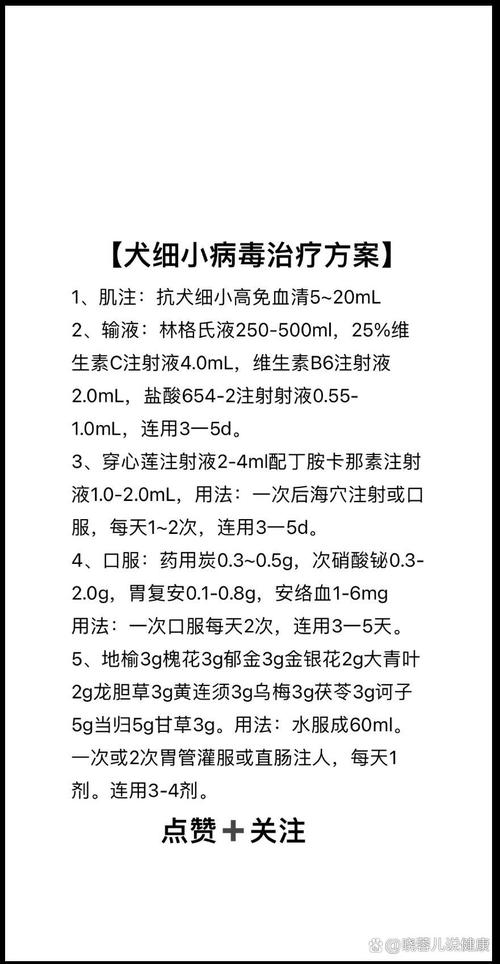 狗狗得细小怎么治最快_狗得了细小怎么治最有效果-第1张图片-后鲨宠物 狗狗得细小怎么治最快_狗得了细小怎么治最有效果-第1张图片-后鲨宠物