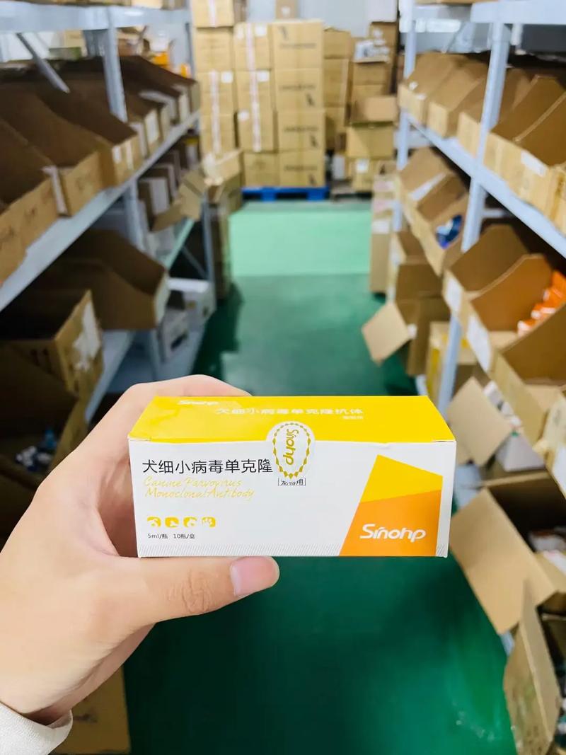 狗狗得细小怎么治最快_狗得了细小怎么治最有效果-第3张图片-后鲨宠物 狗狗得细小怎么治最快_狗得了细小怎么治最有效果-第3张图片-后鲨宠物