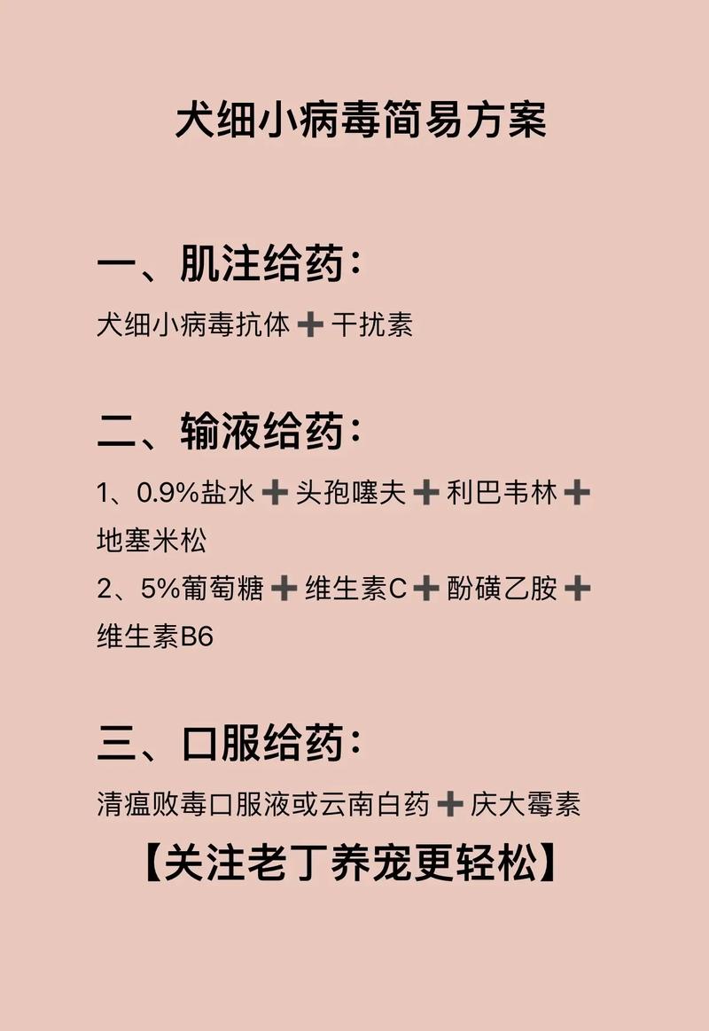 狗狗得细小怎么治最快_狗得了细小怎么治最有效果-第4张图片-后鲨宠物 狗狗得细小怎么治最快_狗得了细小怎么治最有效果-第4张图片-后鲨宠物