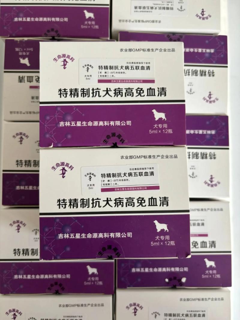 狗狗得细小怎么治最快_狗得了细小怎么治最有效果-第5张图片-后鲨宠物 狗狗得细小怎么治最快_狗得了细小怎么治最有效果-第5张图片-后鲨宠物