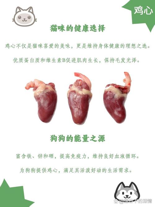 猫咪能吃鸡心吗,宠物猫可以吃鸡心吗-第1张图片-后鲨宠物 猫咪能吃鸡心吗,宠物猫可以吃鸡心吗-第1张图片-后鲨宠物