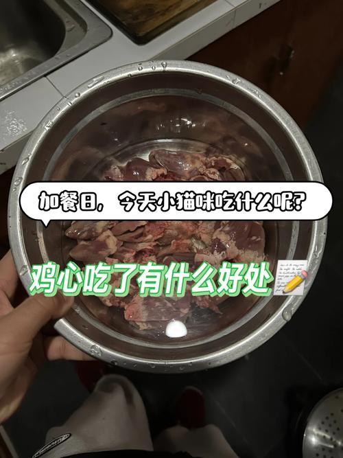 猫咪能吃鸡心吗,宠物猫可以吃鸡心吗-第4张图片-后鲨宠物 猫咪能吃鸡心吗,宠物猫可以吃鸡心吗-第4张图片-后鲨宠物