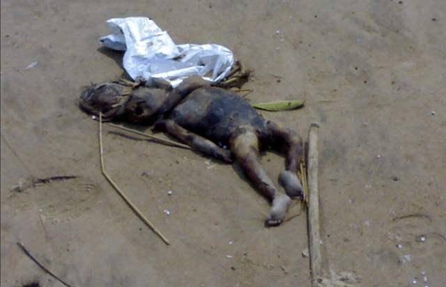 猫咪声嘶力竭的哀嚎,猫咪嘶吼声音沙哑了?-第3张图片-后鲨宠物 猫咪声嘶力竭的哀嚎,猫咪嘶吼声音沙哑了?-第3张图片-后鲨宠物