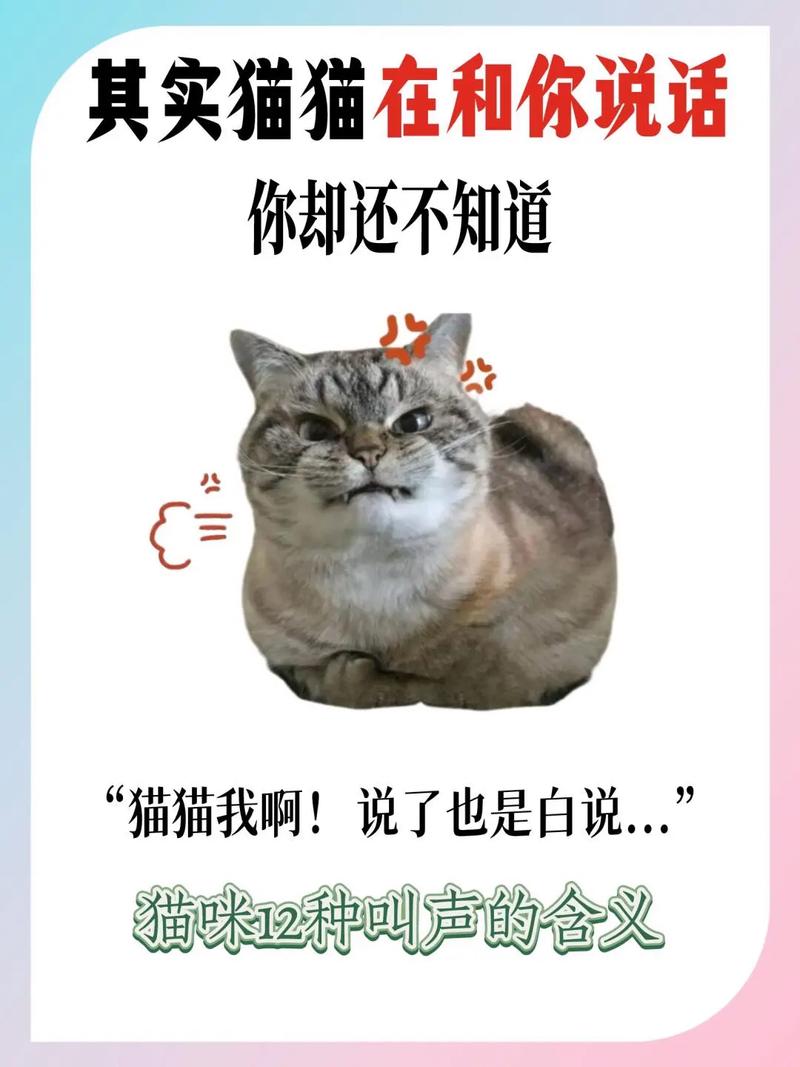 猫咪声嘶力竭的哀嚎,猫咪嘶吼声音沙哑了?-第5张图片-后鲨宠物 猫咪声嘶力竭的哀嚎,猫咪嘶吼声音沙哑了?-第5张图片-后鲨宠物