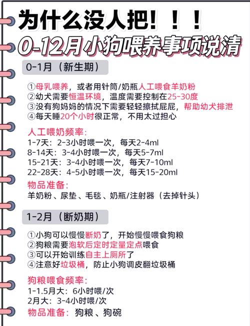 狗狗20天怎么喂养,二十天的狗狗怎么养活-第1张图片-后鲨宠物 狗狗20天怎么喂养,二十天的狗狗怎么养活-第1张图片-后鲨宠物