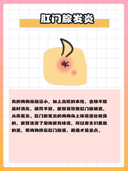 狗狗身上有味道是怎么回事_狗狗身上有味道正常吗-第1张图片-后鲨宠物 狗狗身上有味道是怎么回事_狗狗身上有味道正常吗-第1张图片-后鲨宠物