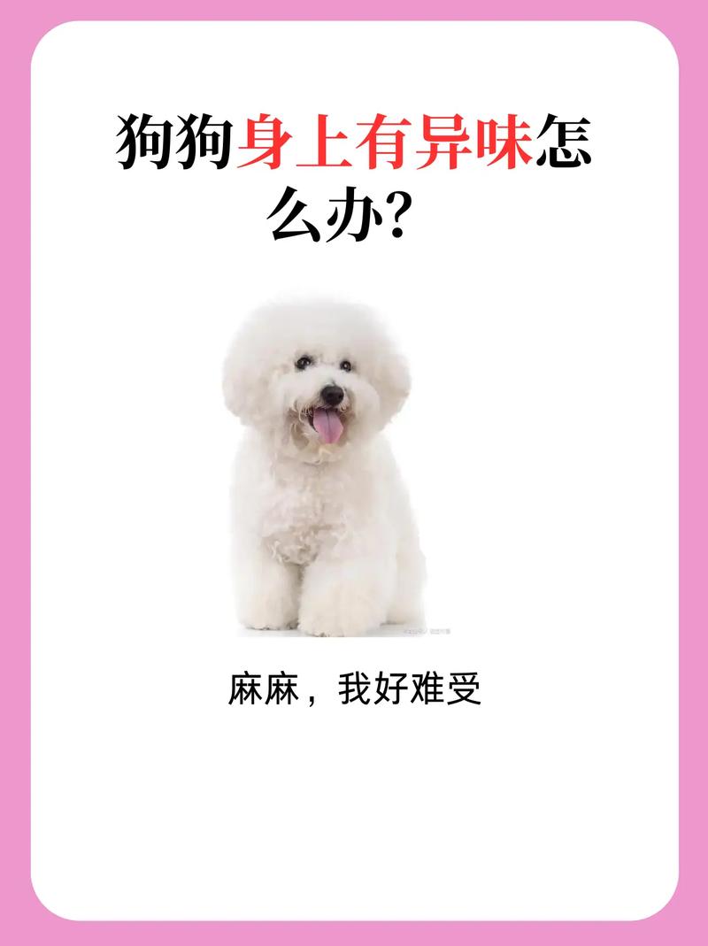 狗狗身上有味道是怎么回事_狗狗身上有味道正常吗-第2张图片-后鲨宠物 狗狗身上有味道是怎么回事_狗狗身上有味道正常吗-第2张图片-后鲨宠物