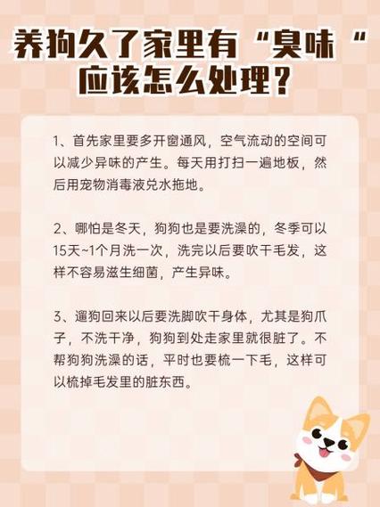 狗狗身上有味道是怎么回事_狗狗身上有味道正常吗-第3张图片-后鲨宠物 狗狗身上有味道是怎么回事_狗狗身上有味道正常吗-第3张图片-后鲨宠物