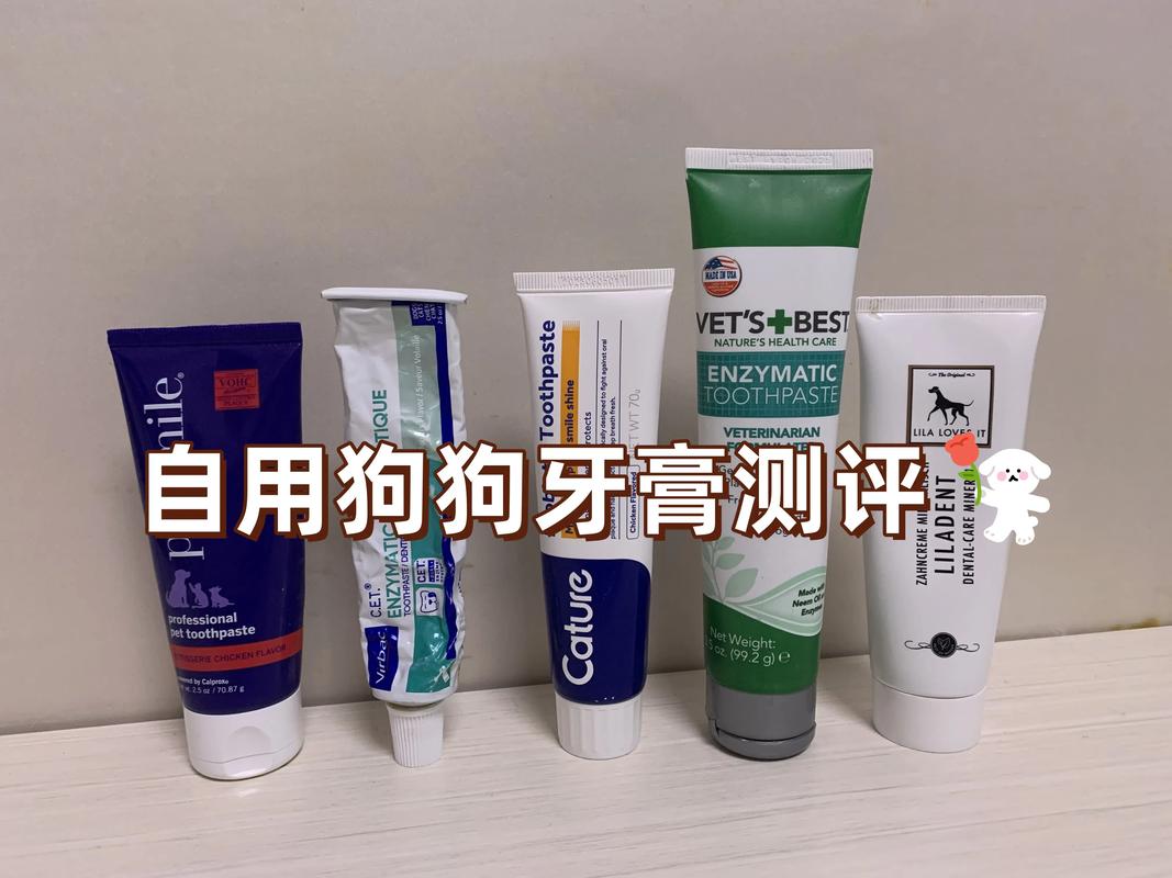 狗狗吃了牙膏怎么办,狗子吃了牙膏-第1张图片-后鲨宠物 狗狗吃了牙膏怎么办,狗子吃了牙膏-第1张图片-后鲨宠物