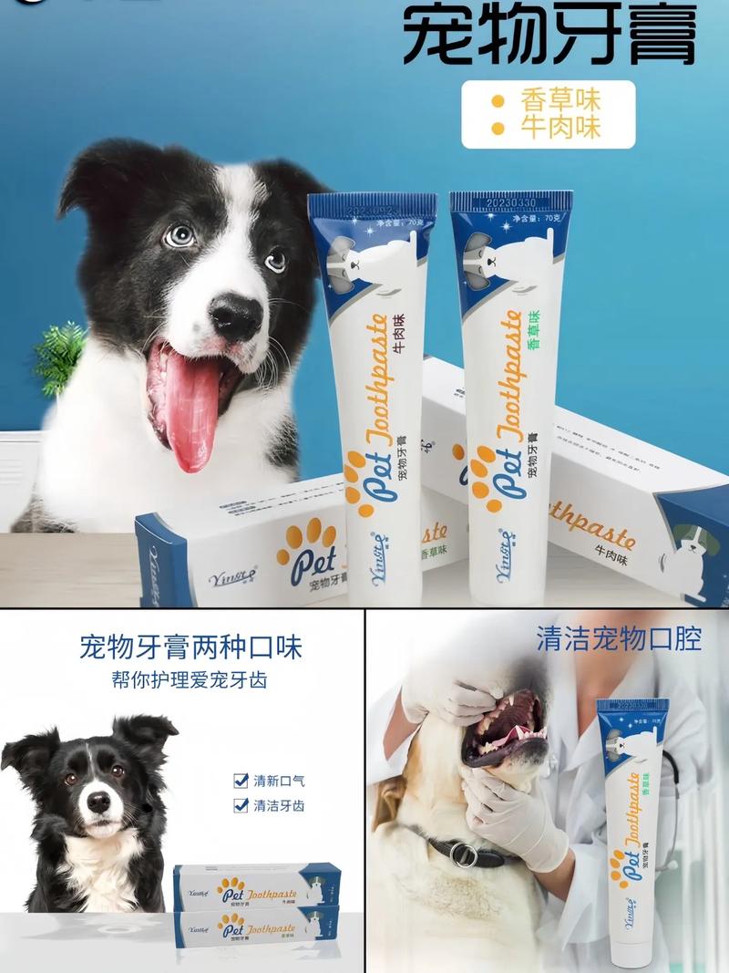 狗狗吃了牙膏怎么办,狗子吃了牙膏-第5张图片-后鲨宠物 狗狗吃了牙膏怎么办,狗子吃了牙膏-第5张图片-后鲨宠物