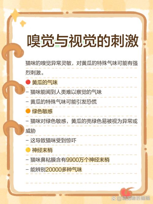 猫咪为什么会怕黄瓜,猫咪为啥怕黄瓜?-第2张图片-后鲨宠物 猫咪为什么会怕黄瓜,猫咪为啥怕黄瓜?-第2张图片-后鲨宠物