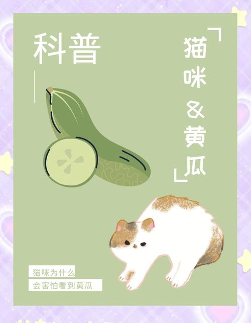 猫咪为什么会怕黄瓜,猫咪为啥怕黄瓜?-第4张图片-后鲨宠物 猫咪为什么会怕黄瓜,猫咪为啥怕黄瓜?-第4张图片-后鲨宠物