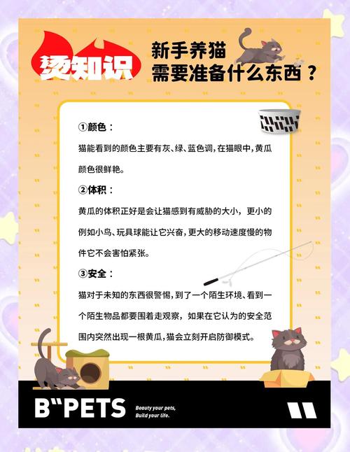 猫咪为什么会怕黄瓜,猫咪为啥怕黄瓜?-第5张图片-后鲨宠物 猫咪为什么会怕黄瓜,猫咪为啥怕黄瓜?-第5张图片-后鲨宠物