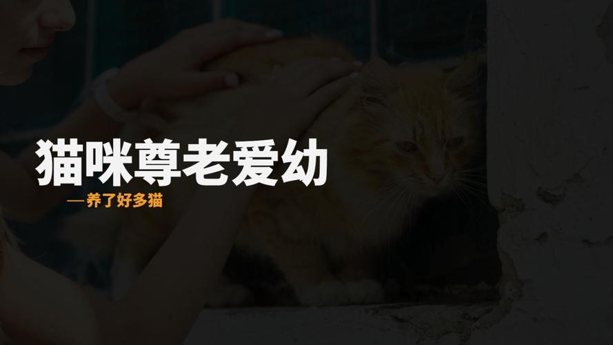 为什么猫咪喜欢小婴儿,为什么猫咪喜欢小婴儿呢-第1张图片-后鲨宠物 为什么猫咪喜欢小婴儿,为什么猫咪喜欢小婴儿呢-第1张图片-后鲨宠物