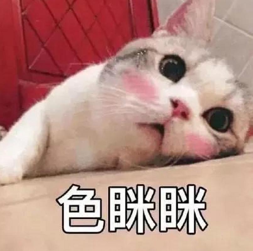 为什么猫咪喜欢小婴儿,为什么猫咪喜欢小婴儿呢-第2张图片-后鲨宠物 为什么猫咪喜欢小婴儿,为什么猫咪喜欢小婴儿呢-第2张图片-后鲨宠物